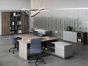 Кабинет руководителя Vilas