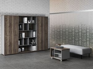 Кабинет руководителя Vilas