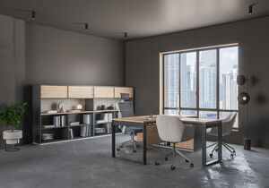 Кабинет руководителя Allegro